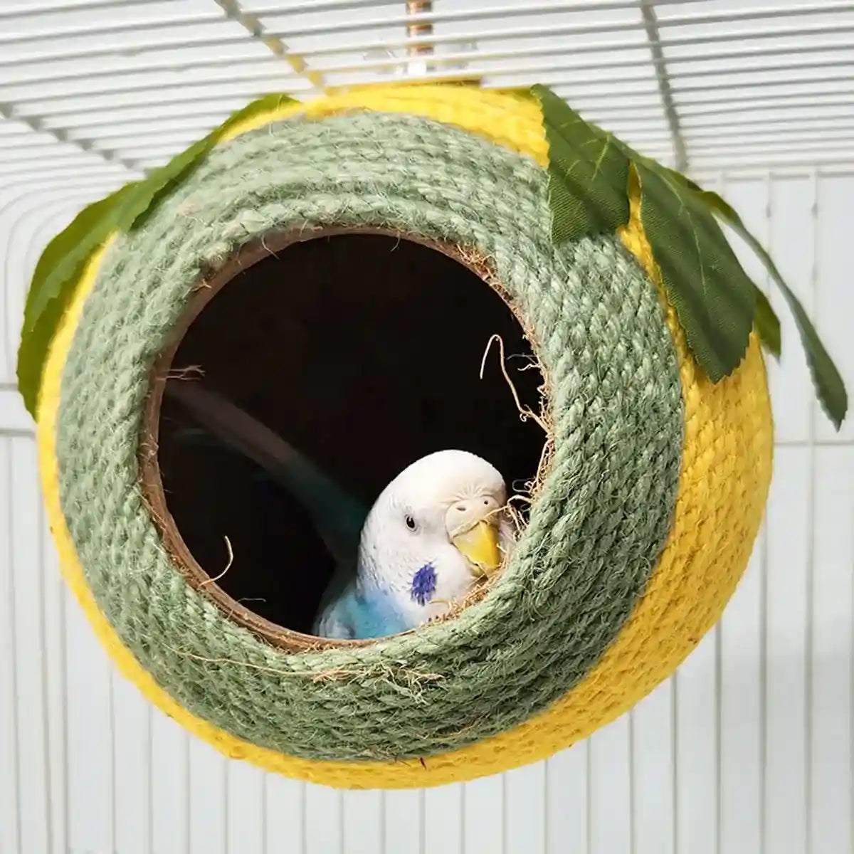 Natural Coconut Shell Bird Nest with Hanging or Screw Mount