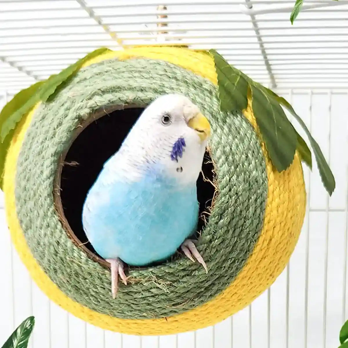 Natural Coconut Shell Bird Nest with Hanging or Screw Mount