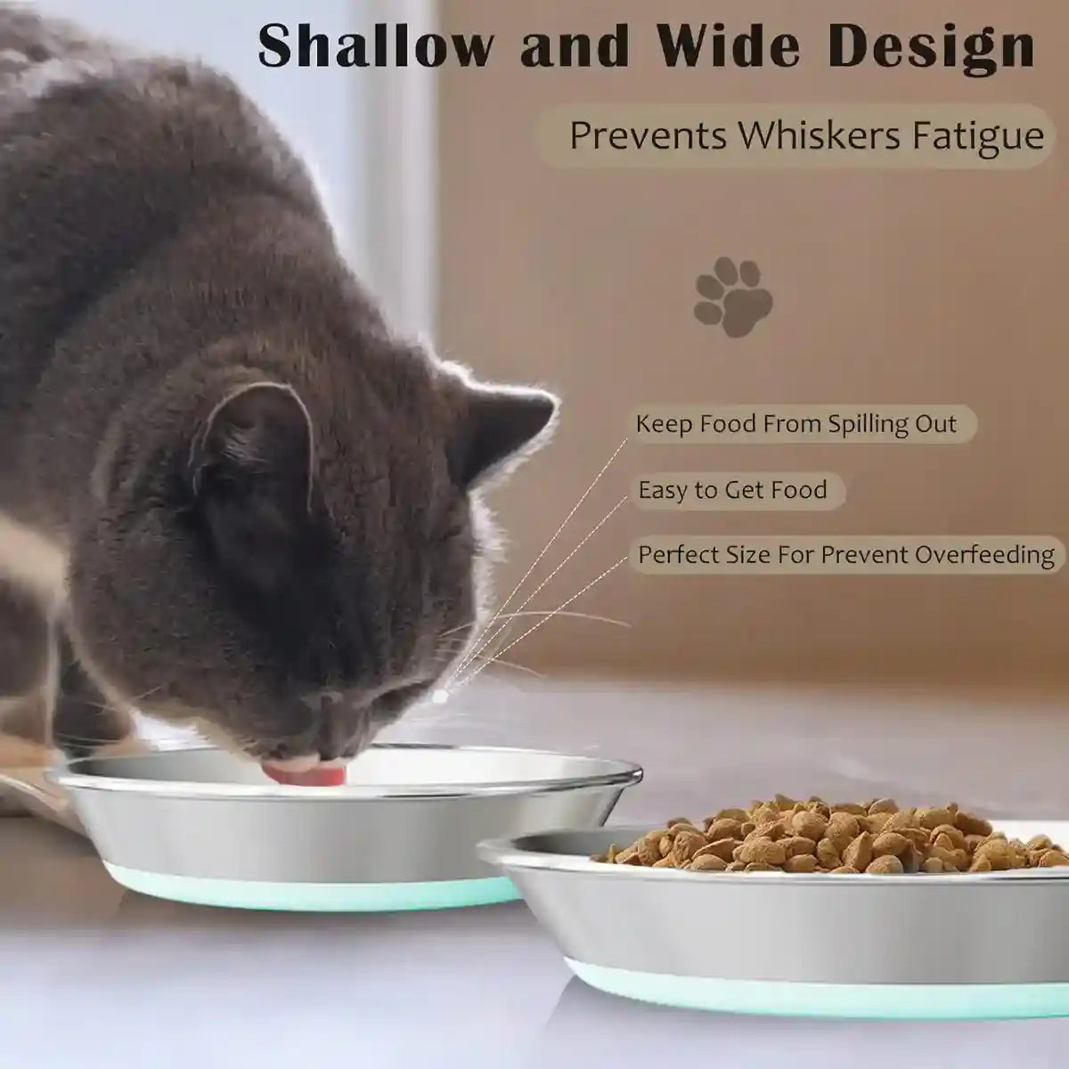 Anti-Slip Pet Dish with Stainless Steel Cat Bowl Design for Clean Feeding