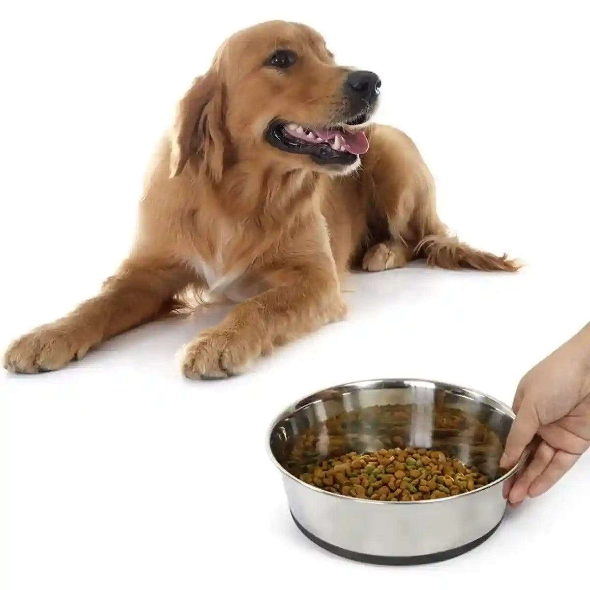 Stainless Steel Pet Dish with Non Slip Dog Bowl Base for Clean Feeding
