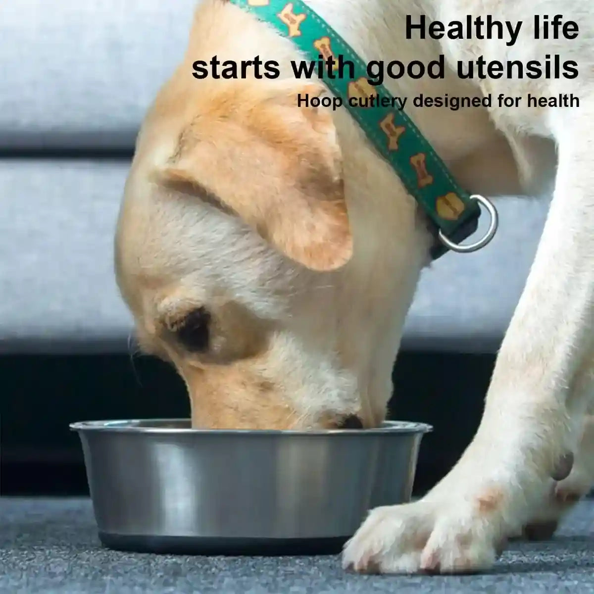 Stainless Steel Pet Dish with Non Slip Dog Bowl Base for Clean Feeding