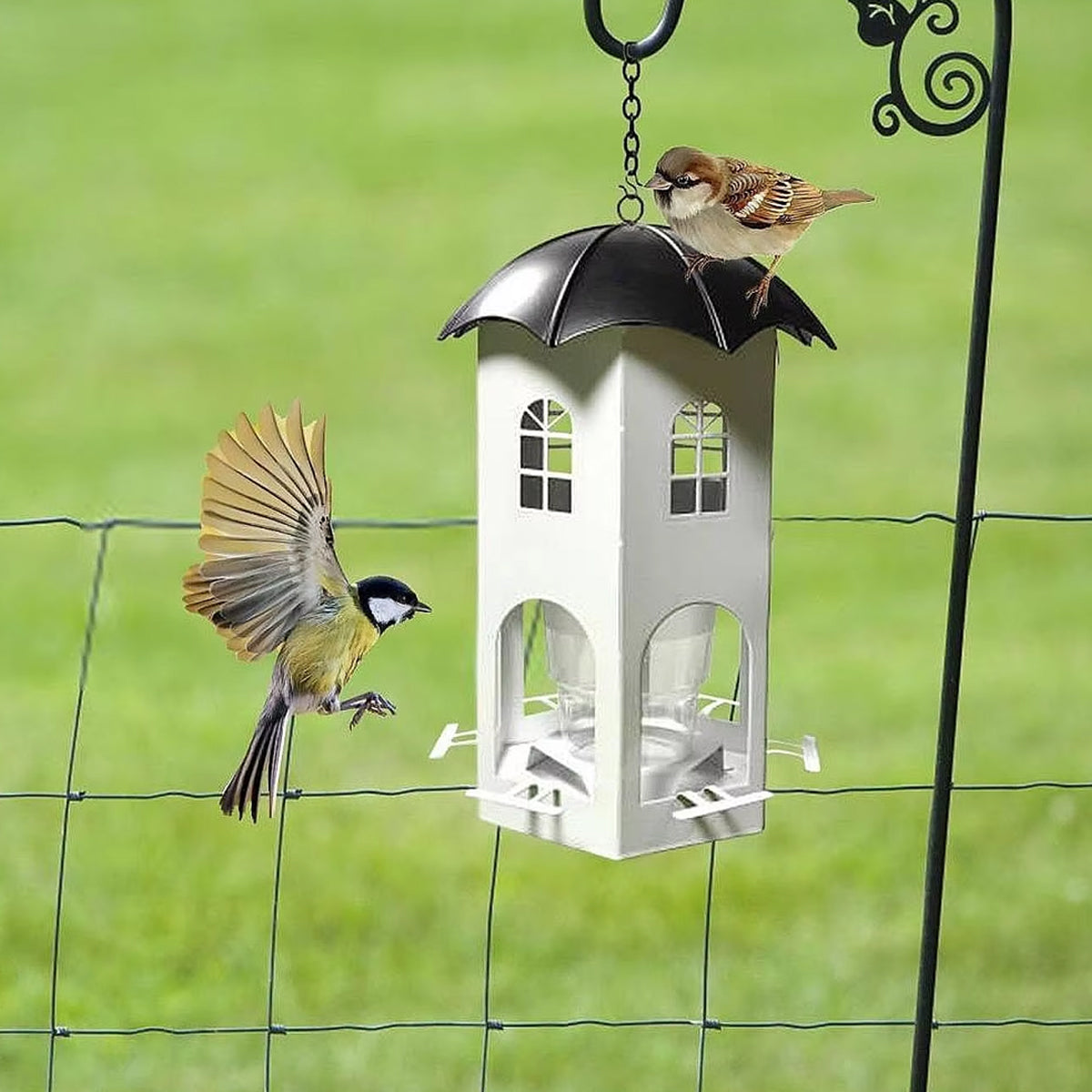 Outdoor Hanging Bird Feeder with Umbrella Lid