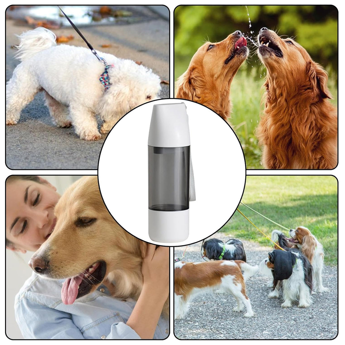 Portable Dog Water Bottle 350ml | Travel Pet Water Dispenser for Walks