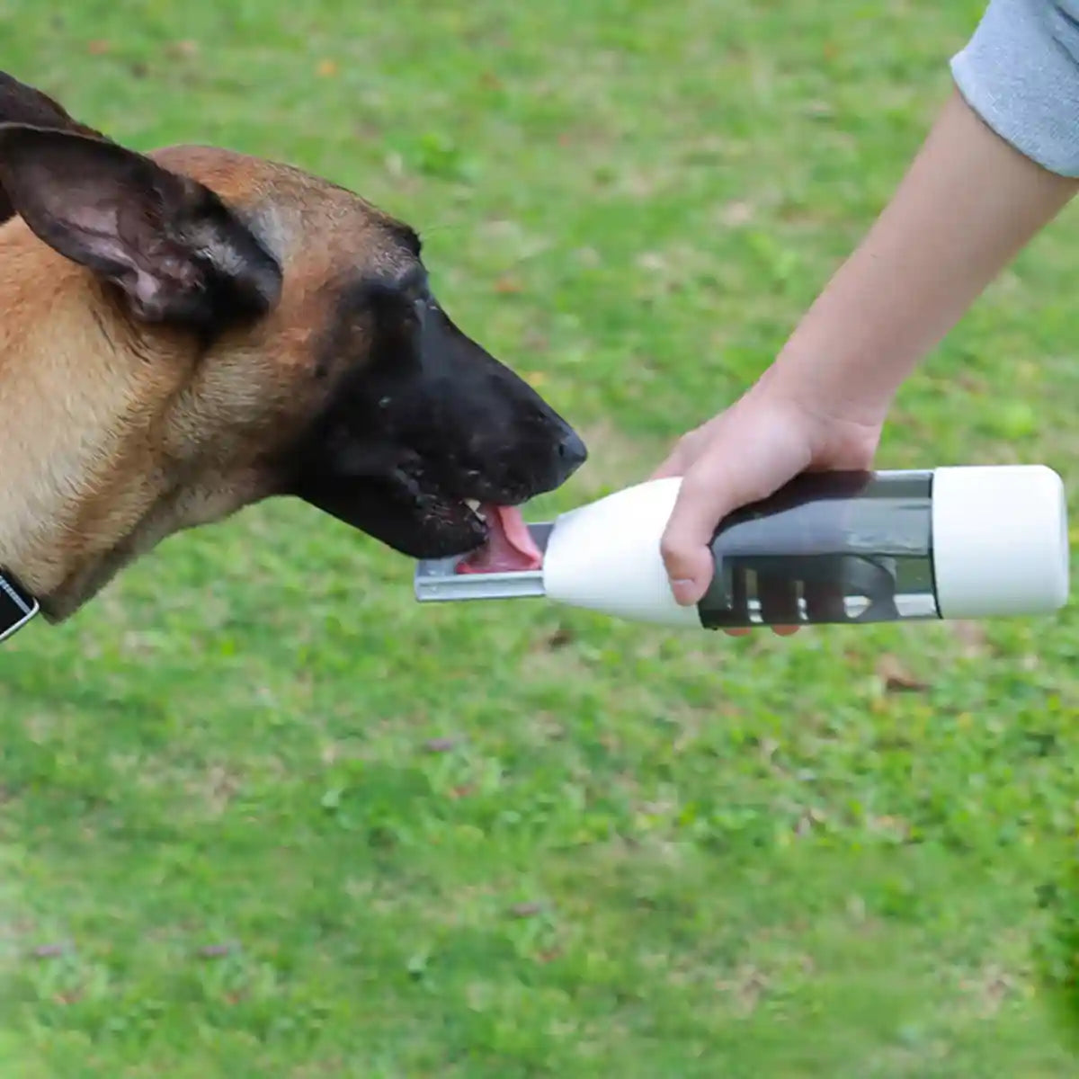 Portable Dog Water Bottle 350ml Outdoor Travel Pet Dispenser