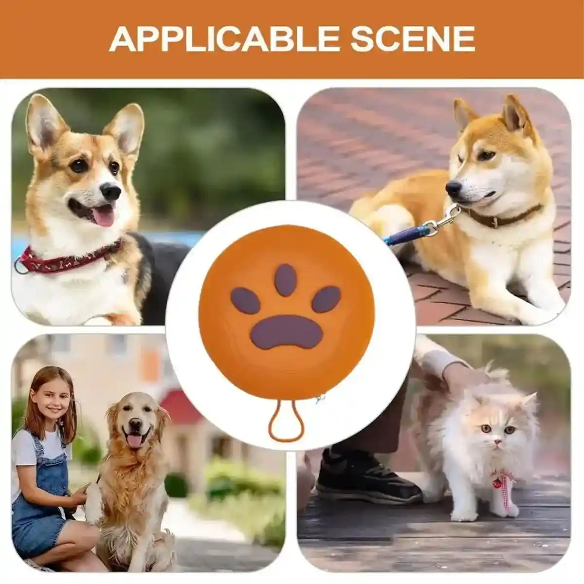 Paw Print Travel Pet Bowl Set with Collapsible Design