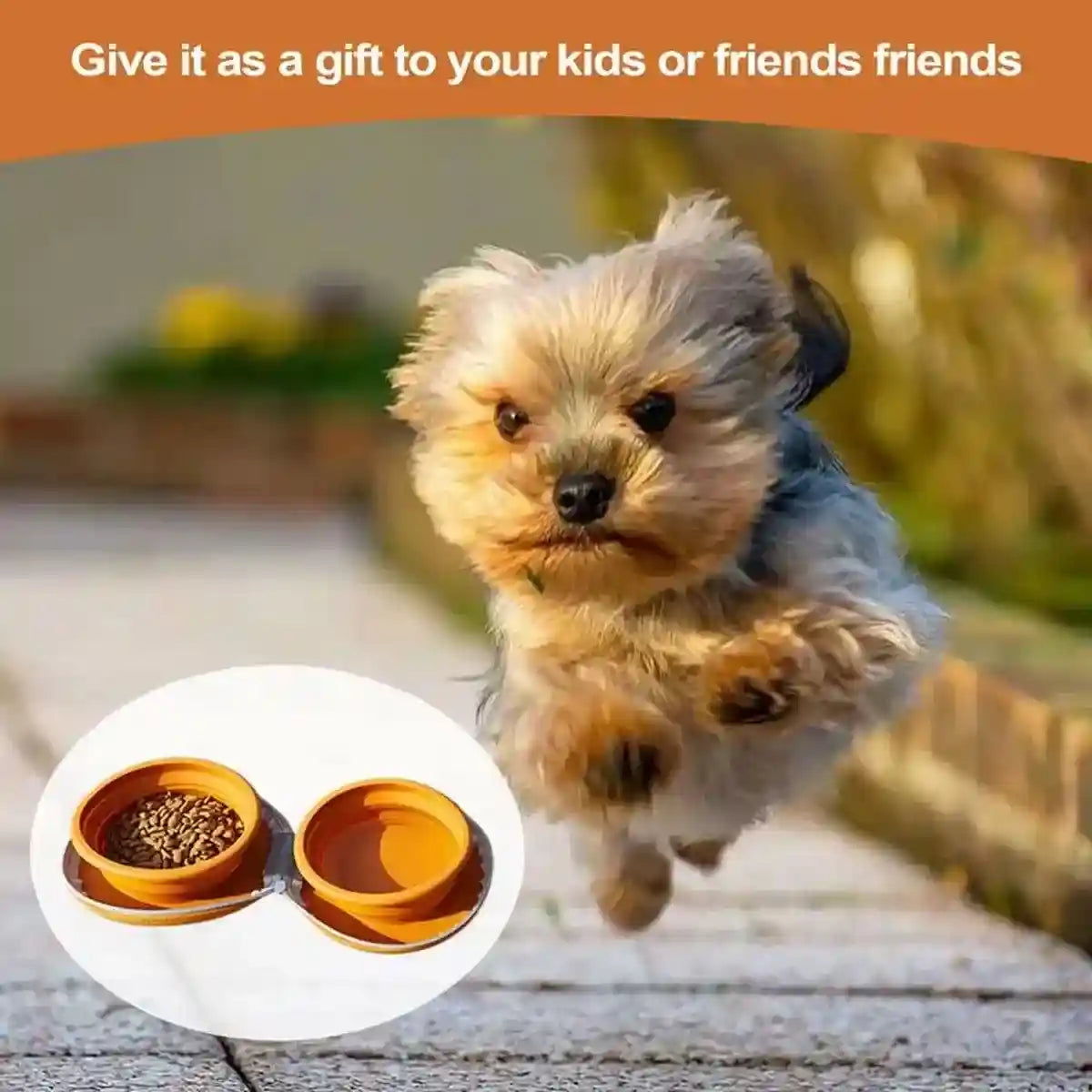 Paw Print Travel Pet Bowl Set with Collapsible Design