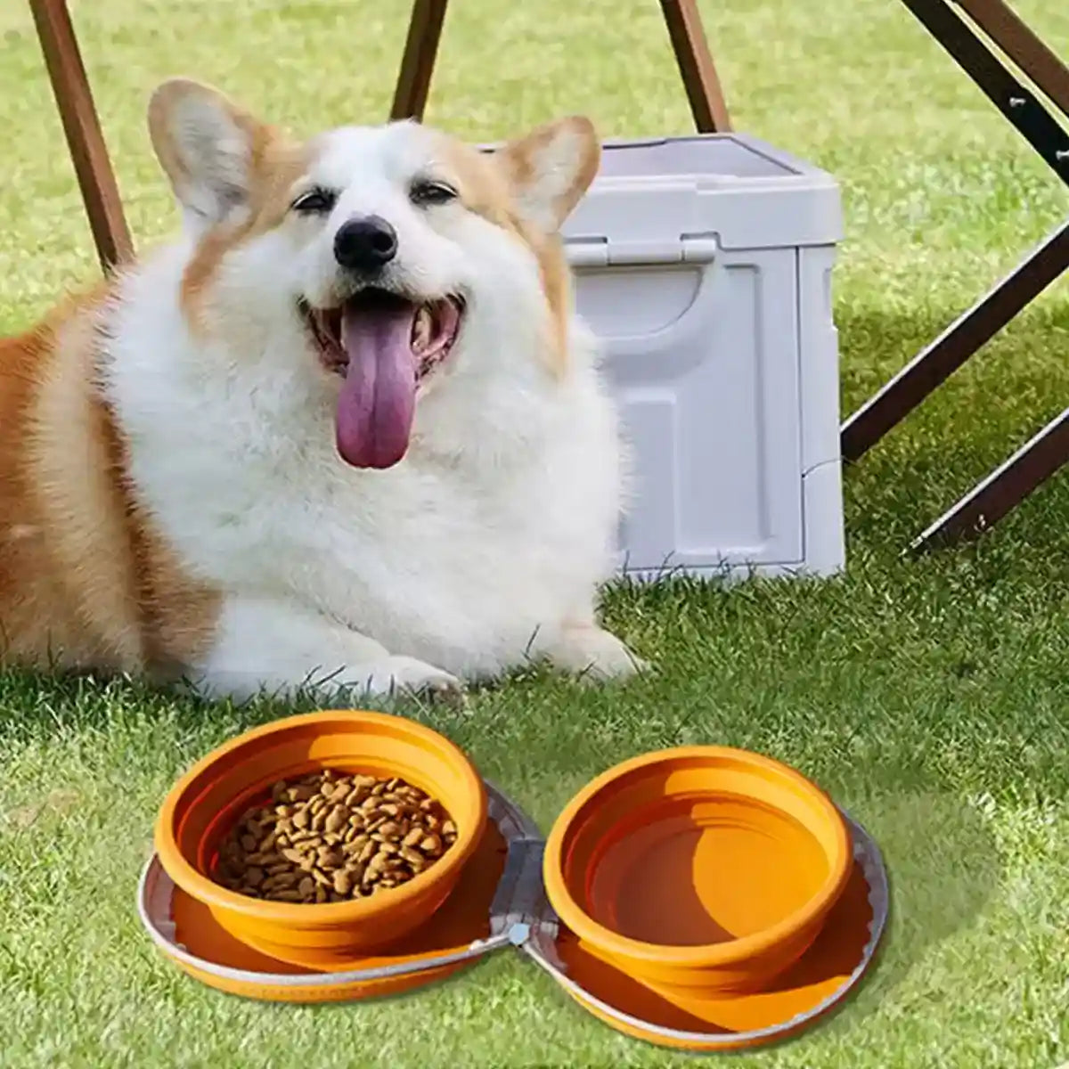 Paw Print Travel Pet Bowl Set with Collapsible Design