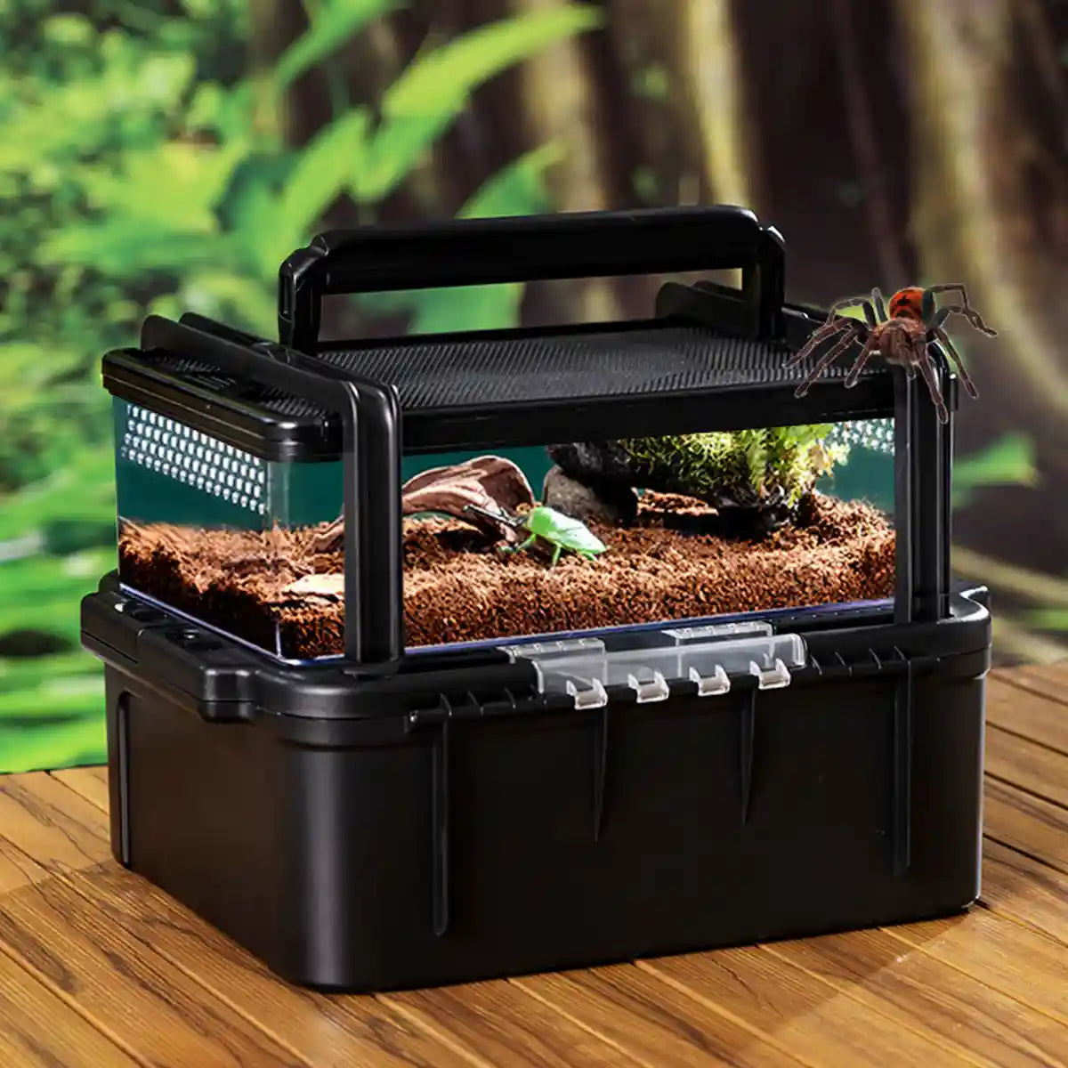 Portable Outdoor Reptile Tank Terrarium with Handle and Storage Base