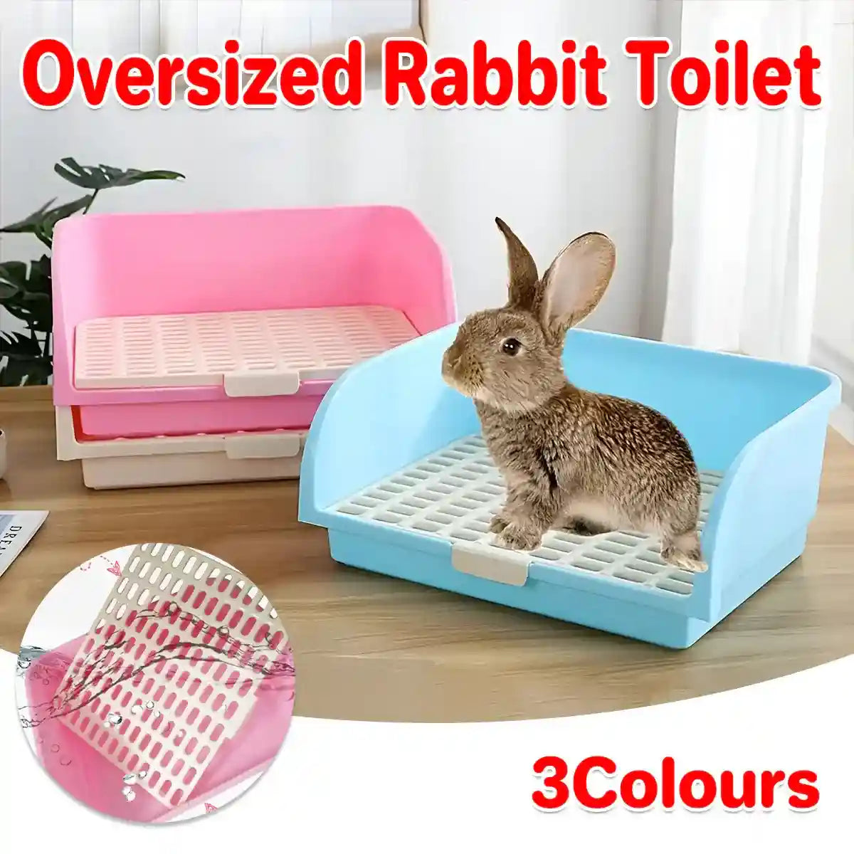 Eco-friendly hummingbird house made from coconut shell