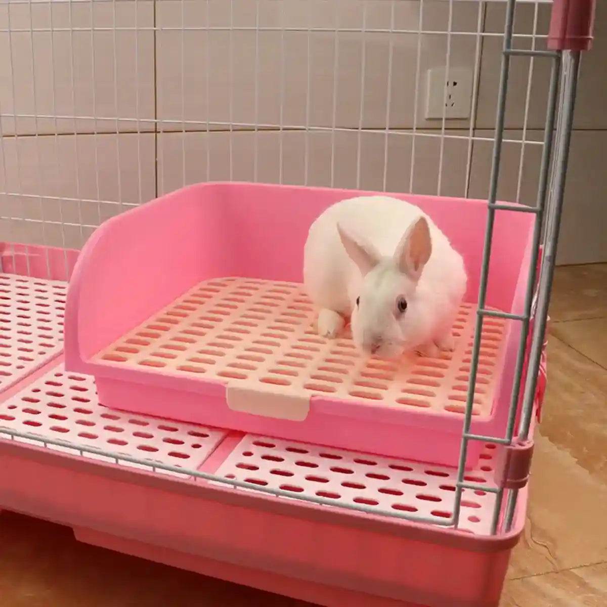 Spacious Rabbit Toilet with Splash Guard & Removable Mesh Grid