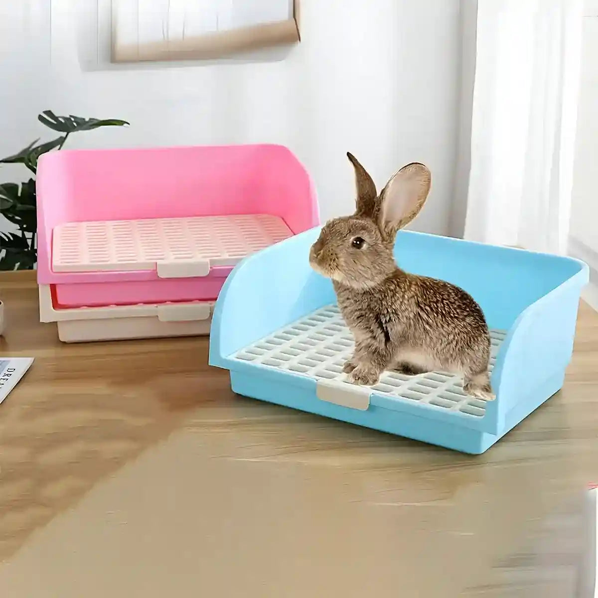Spacious Rabbit Toilet with Splash Guard & Removable Mesh Grid