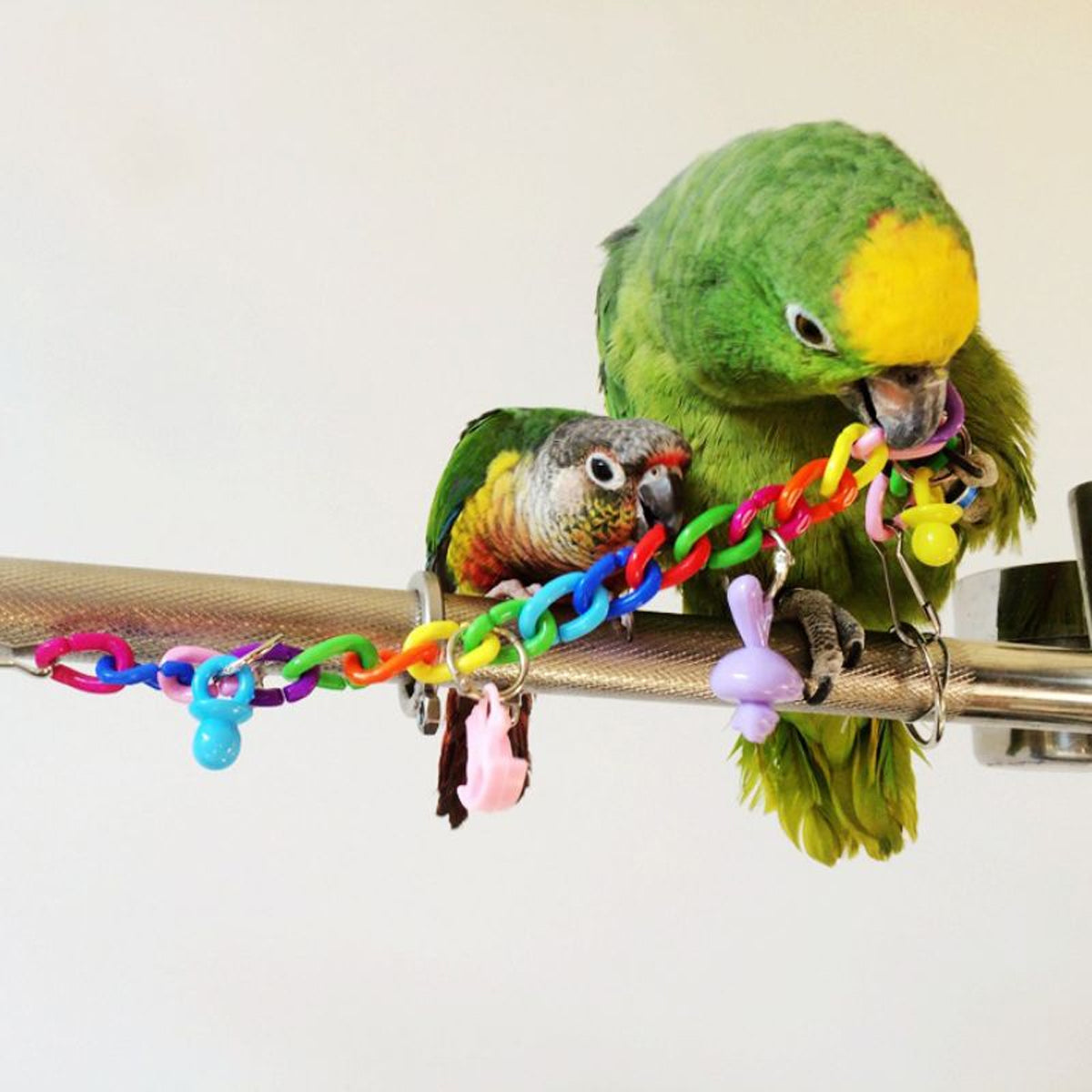 Acrylic Chain Bird Swing Bridge Toy
