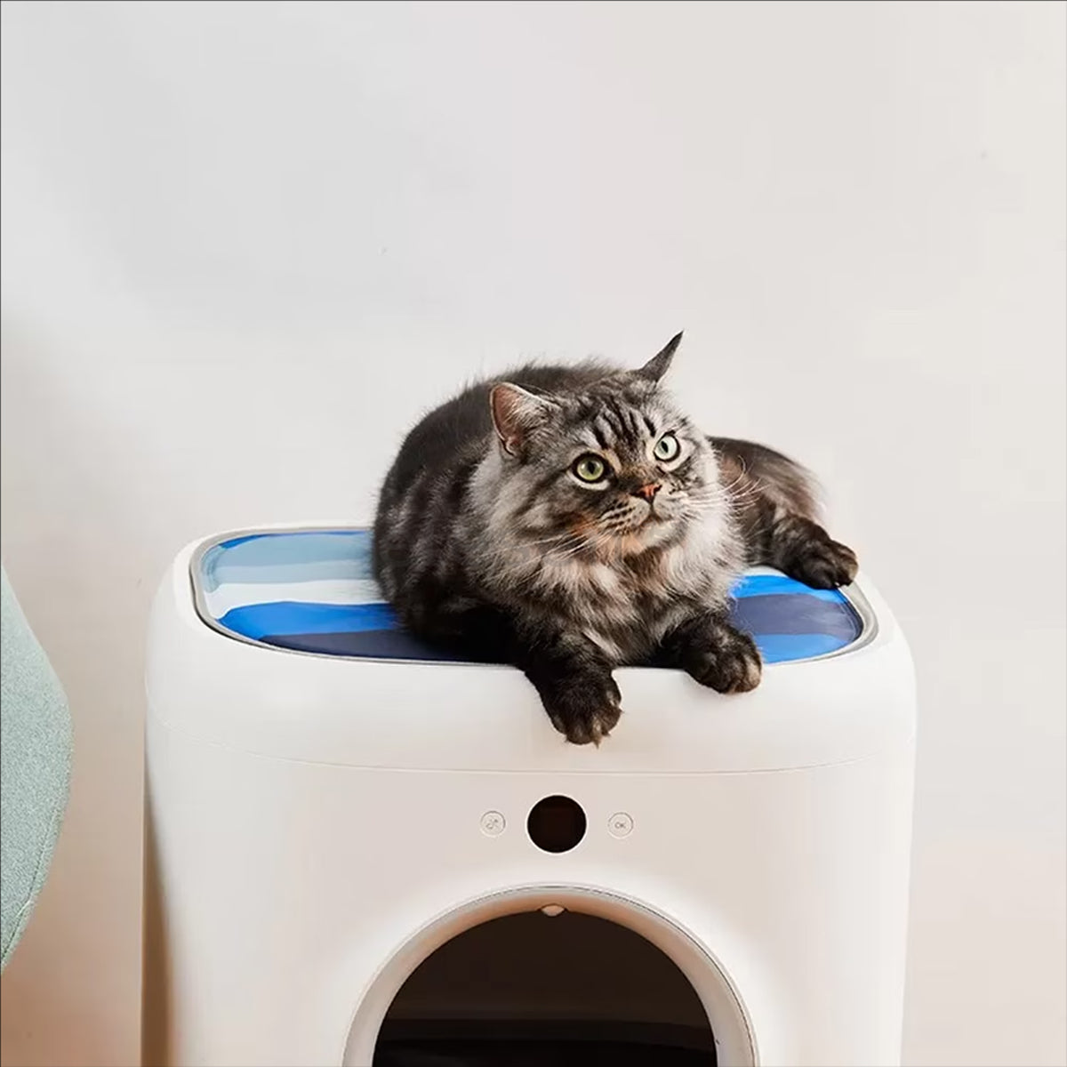 Petkit Pet Cooling Mat