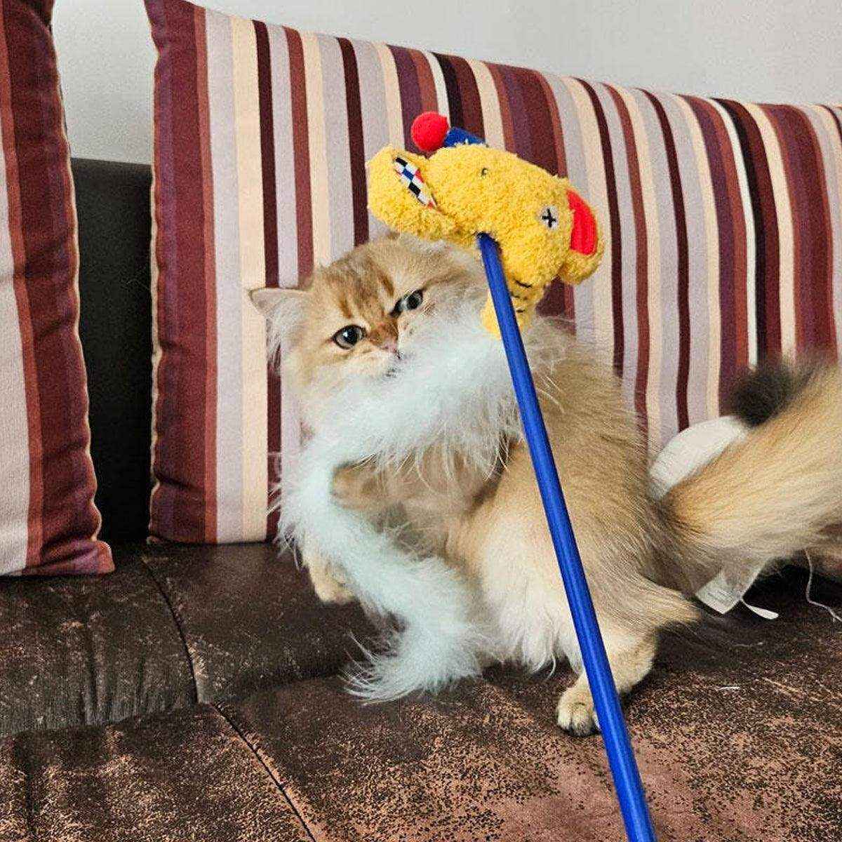 Interactive Cat Wand Toy Feather & Bell Teaser Stick for Playtime