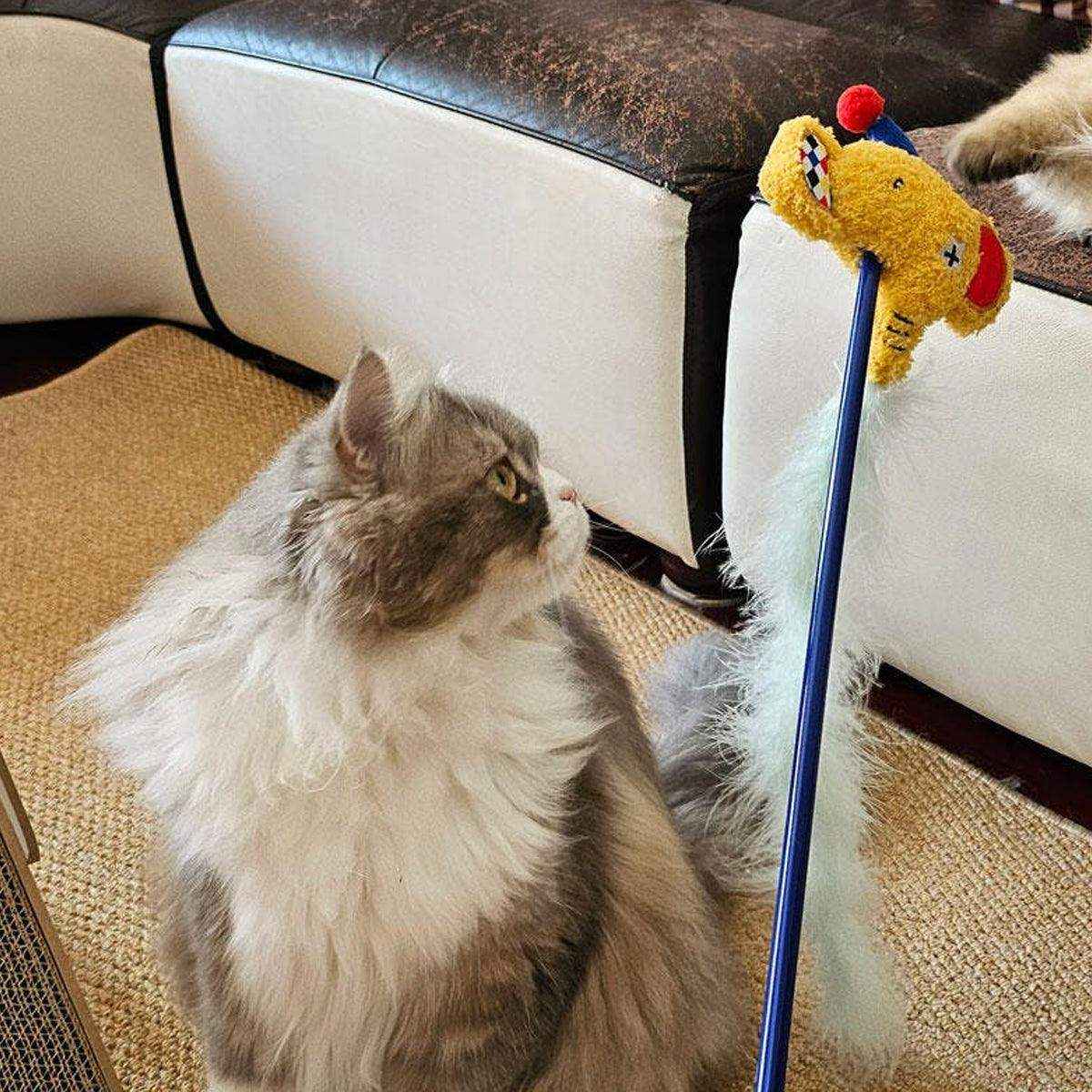 Interactive Cat Wand Toy Feather & Bell Teaser Stick for Playtime