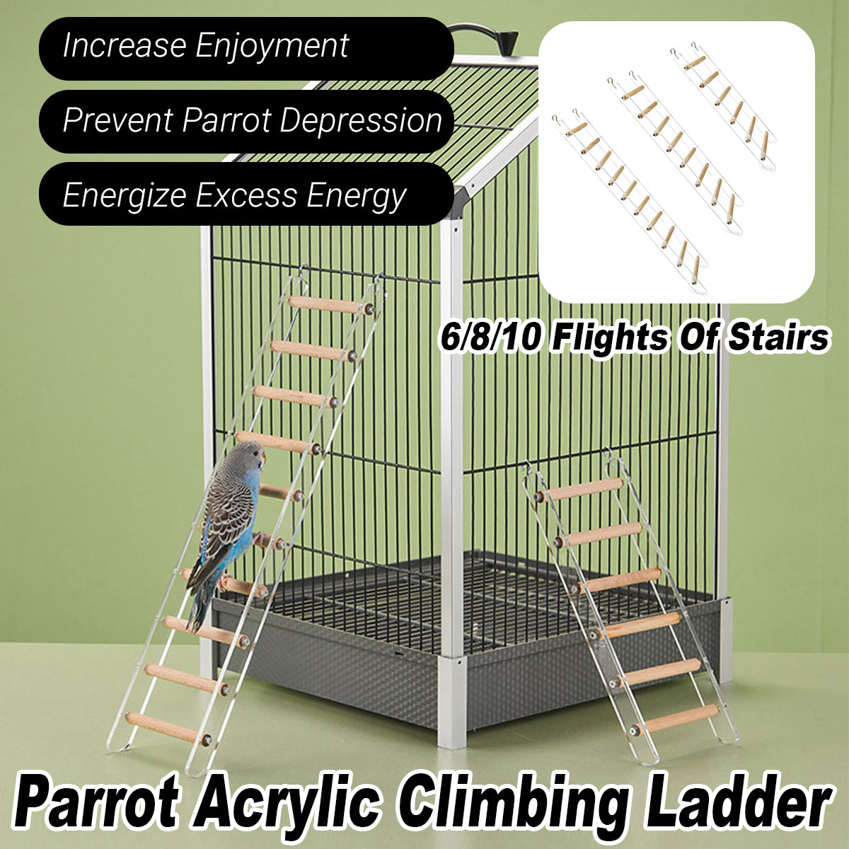Acrylic Parrot Climbing Ladder for Bird Cages | Petfection Corner