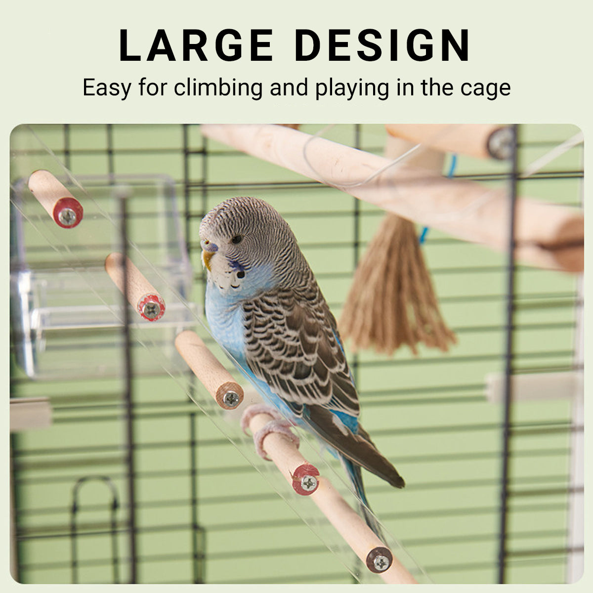 Parrot Climbing Ladder Acrylic Bird Cage Stairs Toy