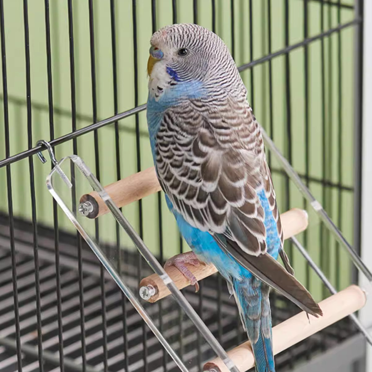 Parrot Climbing Ladder Acrylic Bird Cage Stairs Toy