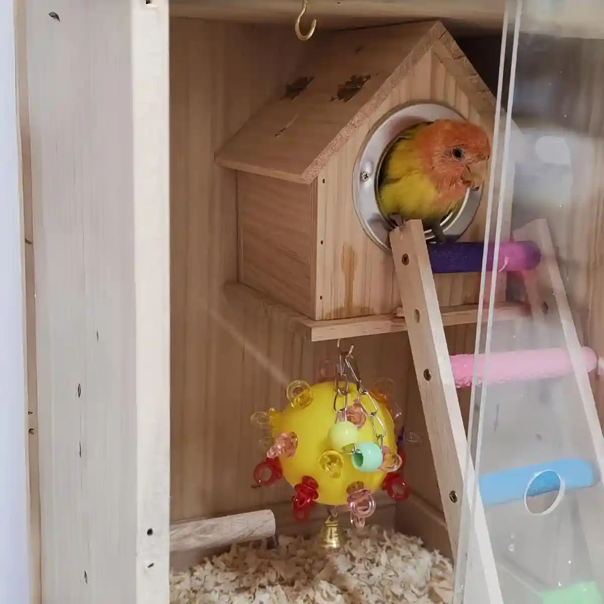 Durable Acrylic Bird Toy With Bells & Rings For Small Birds