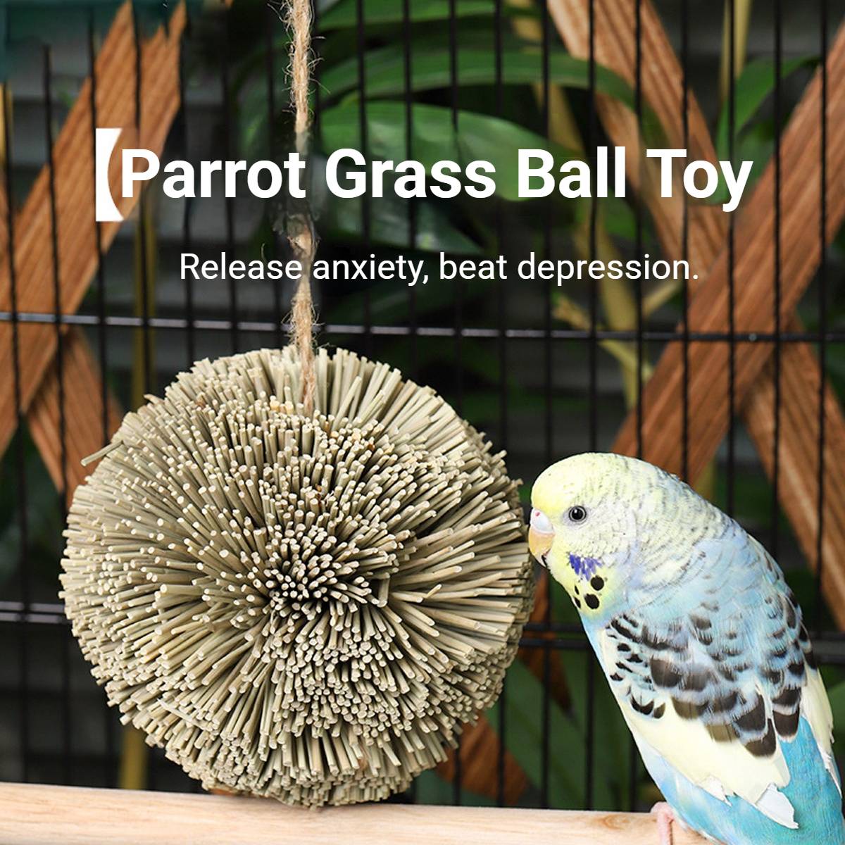 Natural Parrot Chew Toy Ball | Woven Foraging Bird Toy for Cages