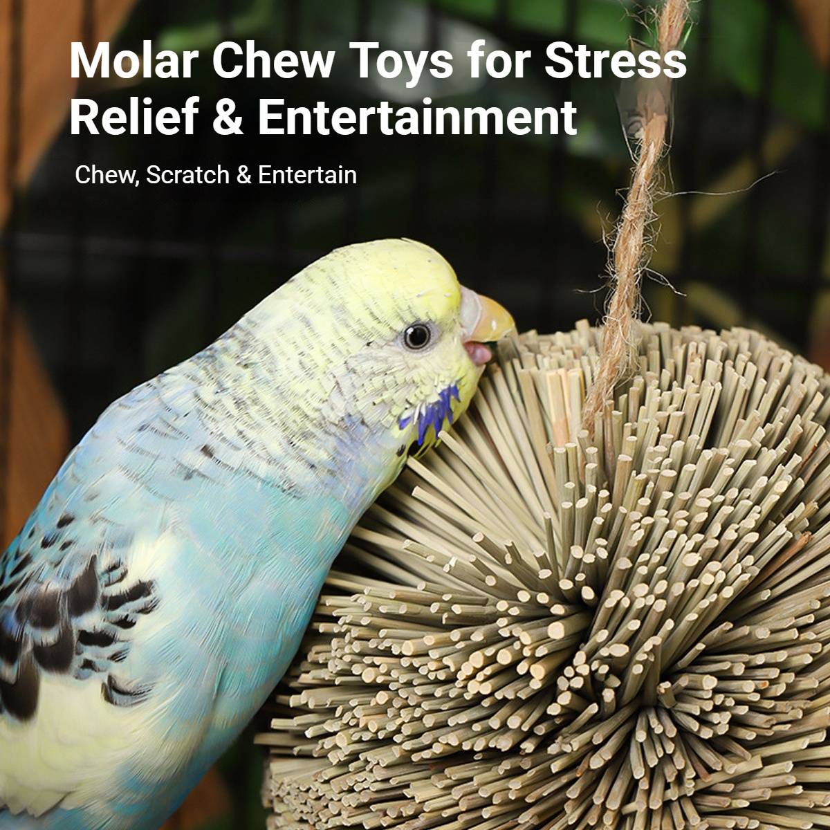 Natural Parrot Chew Toy Ball | Woven Foraging Bird Toy for Cages