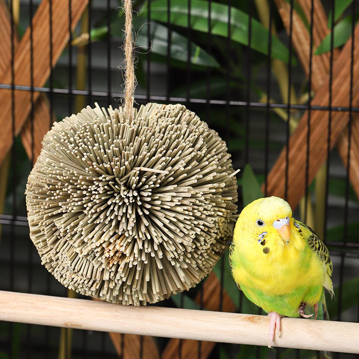 Natural Parrot Chew Toy Ball | Woven Foraging Bird Toy for Cages