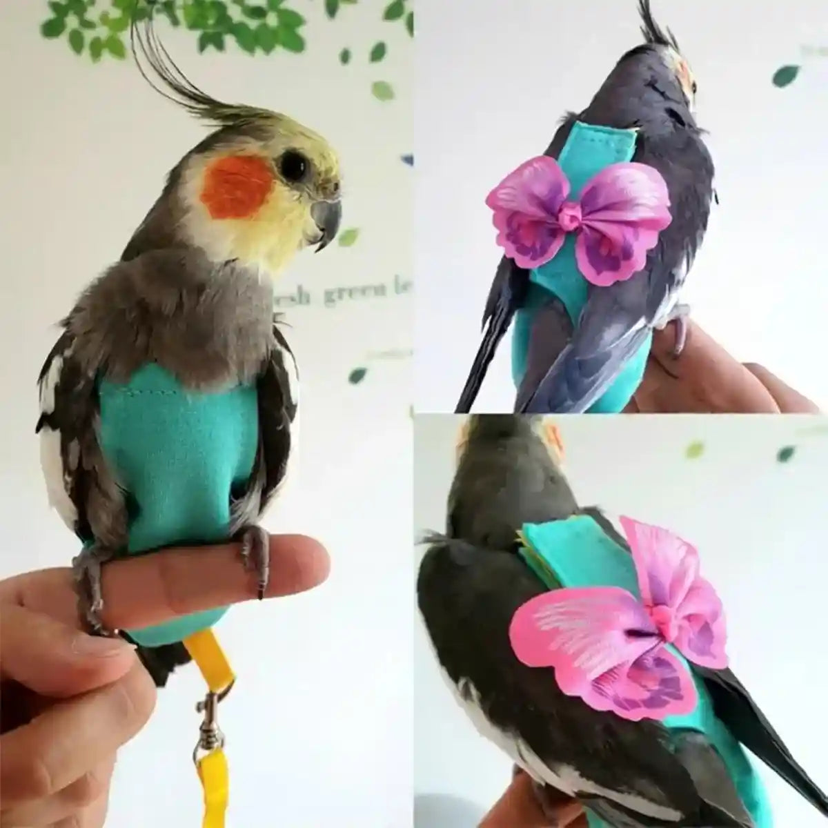 Cute Butterfly Bird Diaper Harness Flight Vest for Cockatiel & Parrot