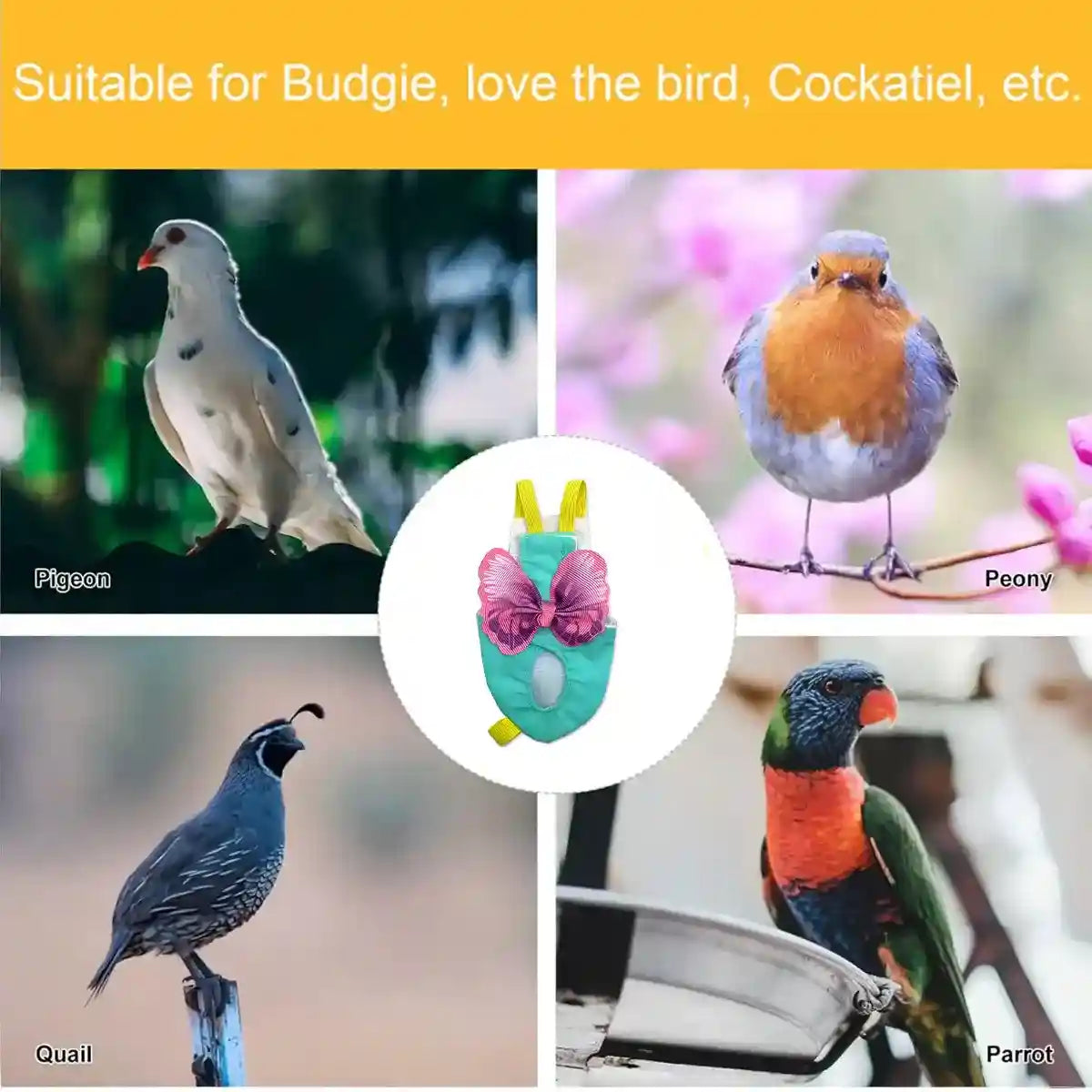 Cute Butterfly Bird Diaper Harness Flight Vest for Cockatiel & Parrot
