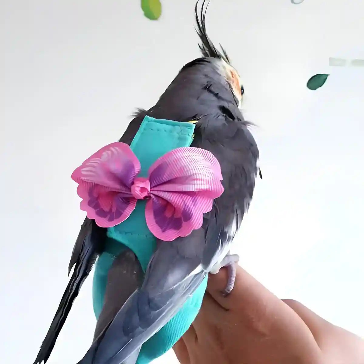 Cute Butterfly Bird Diaper Harness Flight Vest for Cockatiel & Parrot