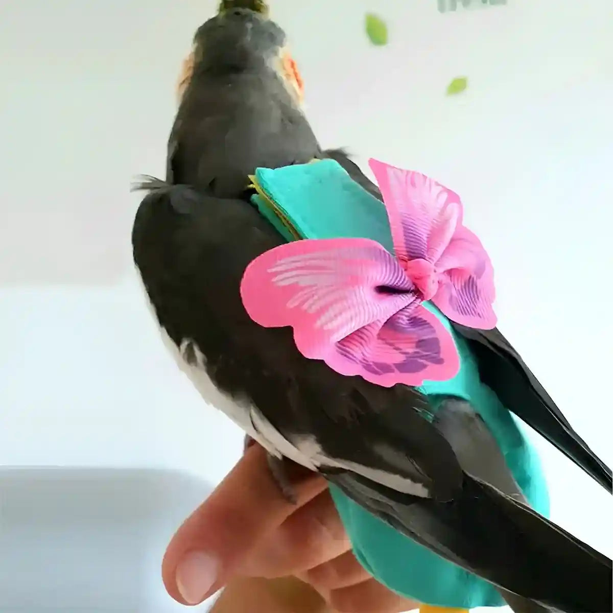Cute Butterfly Bird Diaper Harness Flight Vest for Cockatiel & Parrot