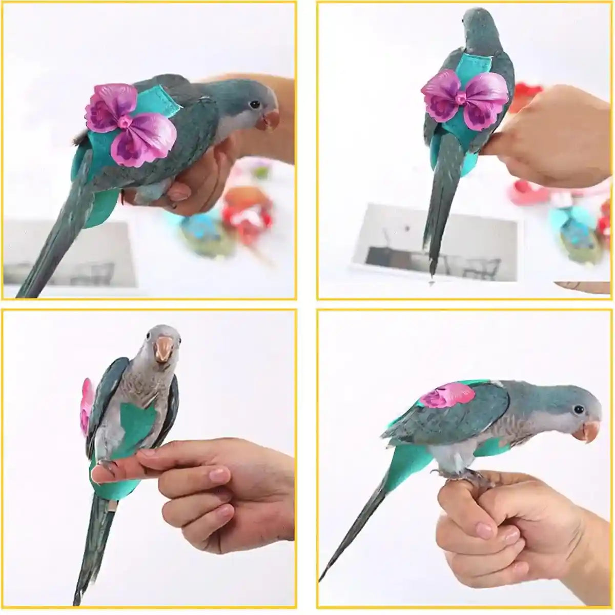 Cute Butterfly Bird Diaper Harness Flight Vest for Cockatiel & Parrot