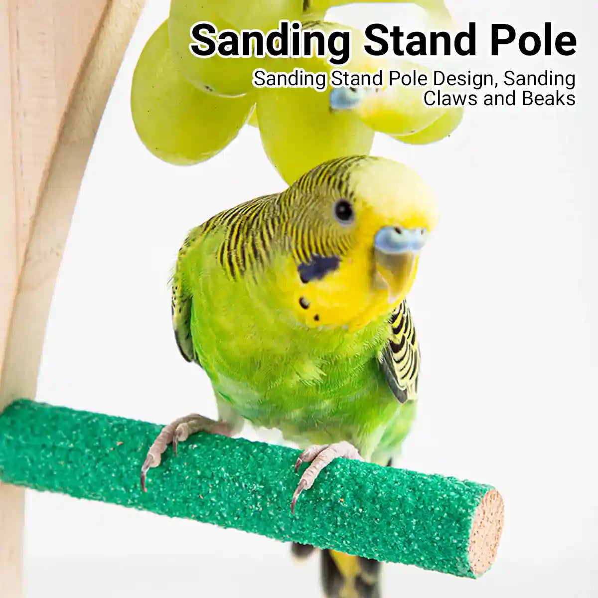 Coconut Tree Parrot Stand Wooden Bird Perch 33×14.5cm