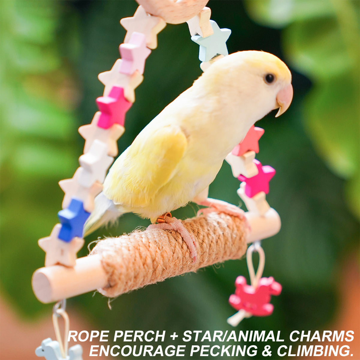 Wooden Parrot Swing Toy With Rope Perch