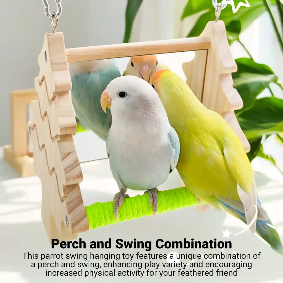 Double Sided Mirror Parrot Perch Toy Swing