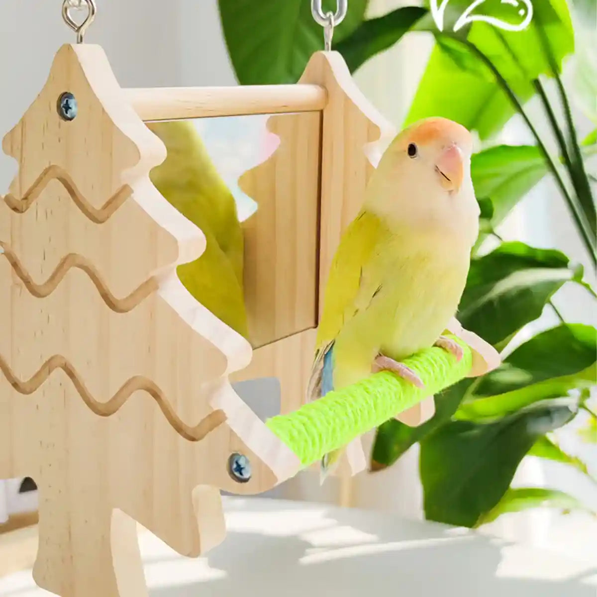 Double Sided Mirror Parrot Perch Toy Swing