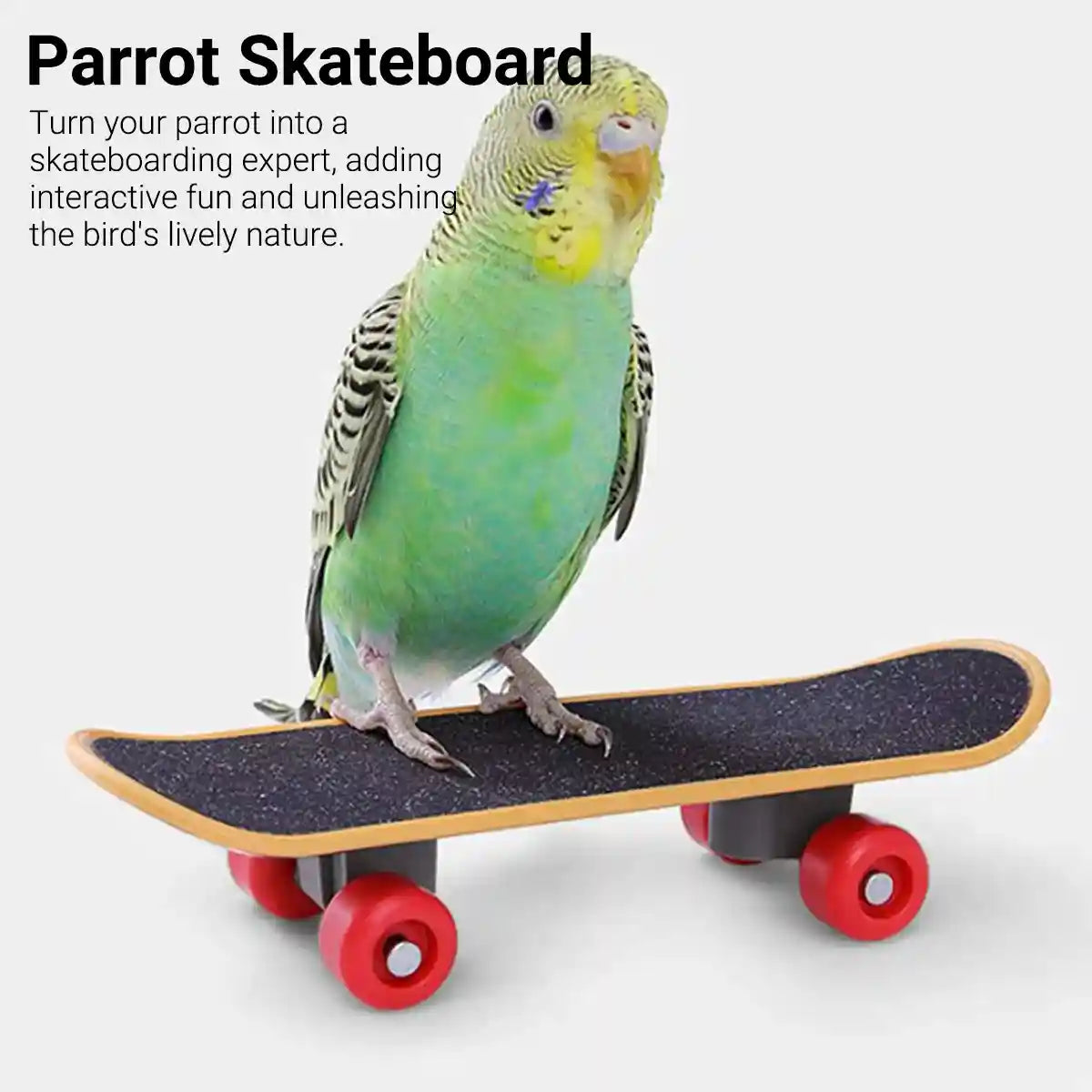 4pcs Parrot Toy Suit Educational Trolley Ring Training Bird Supplies