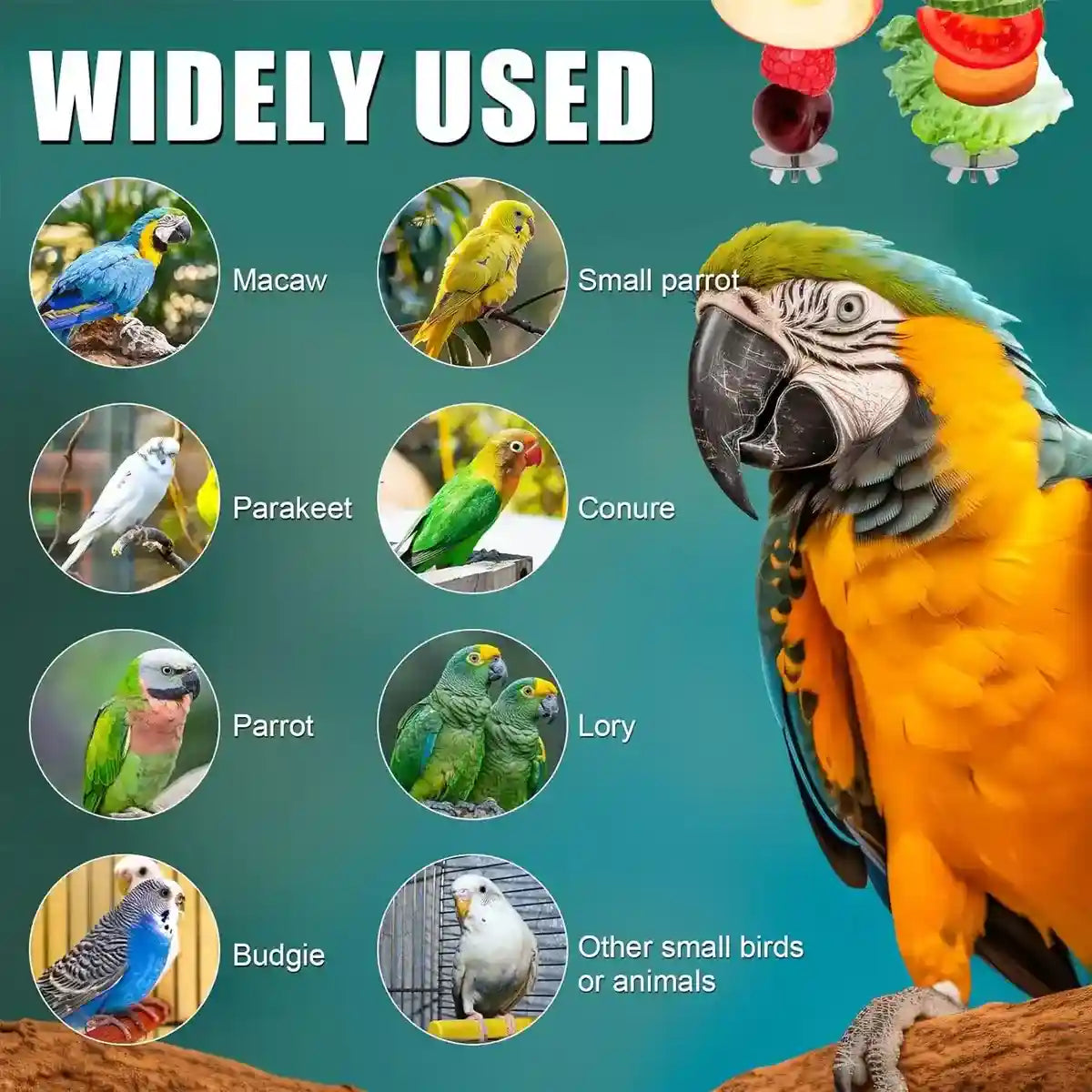 Hanging Wooden Bird Stand with Stainless Steel Fruit Fork