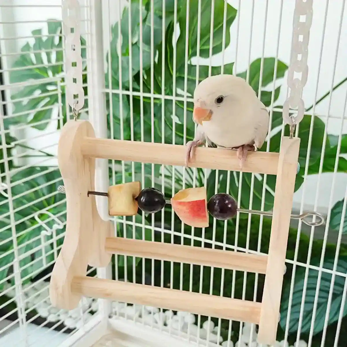 Hanging Wooden Bird Stand with Stainless Steel Fruit Fork