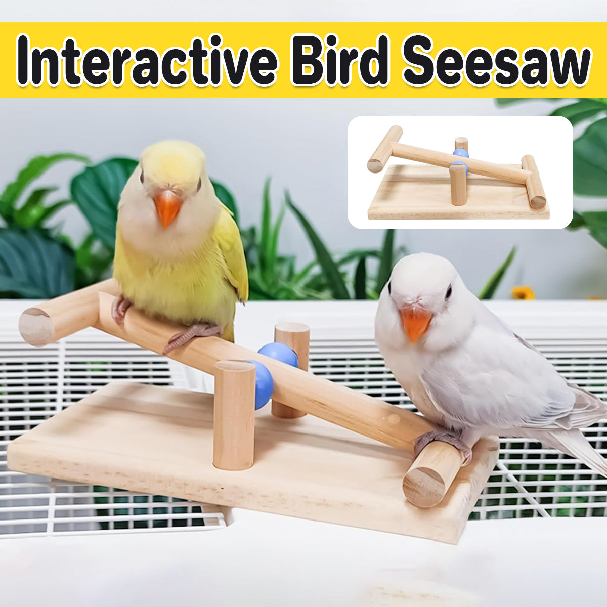 Parrot Interactive Seesaw Toy Wooden Bird Claw Grinding Toy