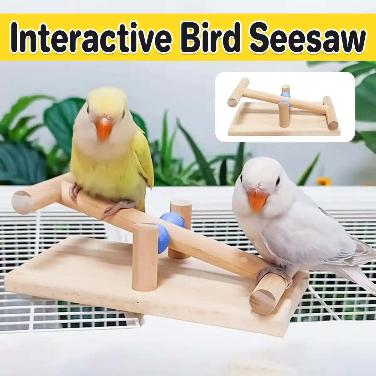 Parrot Interactive Seesaw Toy Wooden Bird Claw Grinding Toy