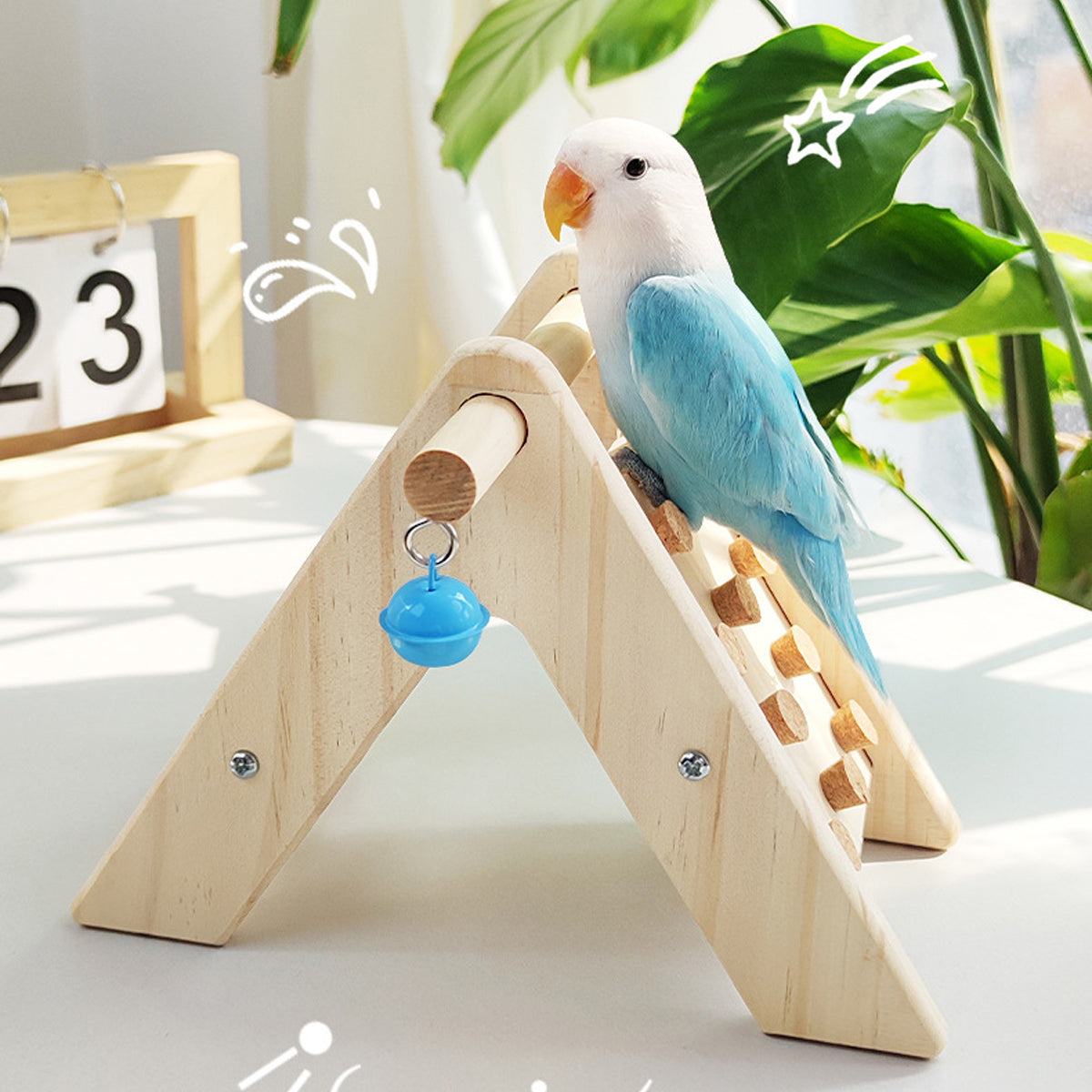 Parrot Climbing Ladder