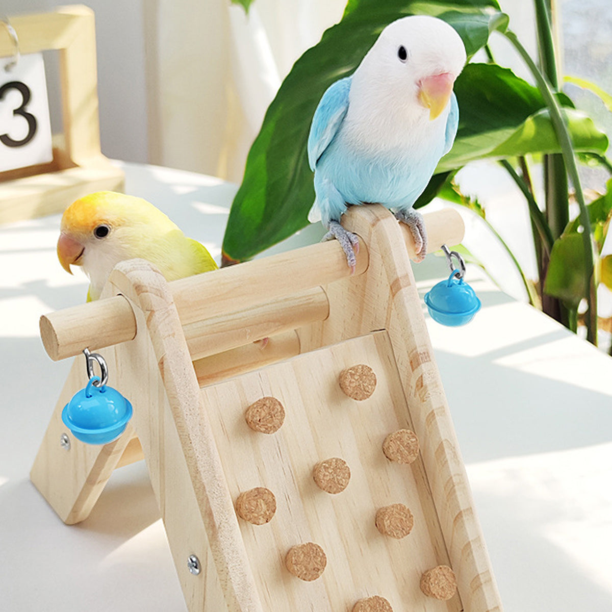 Parrot Climbing Ladder