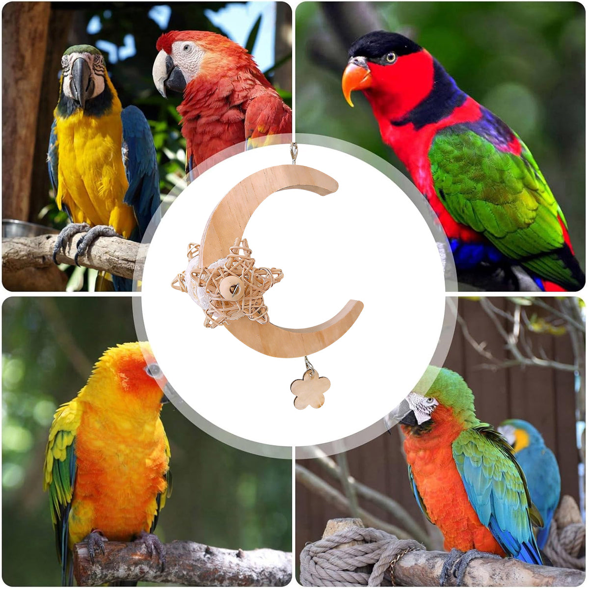 Parrot Moon Swing Wooden Bird Perch Toy