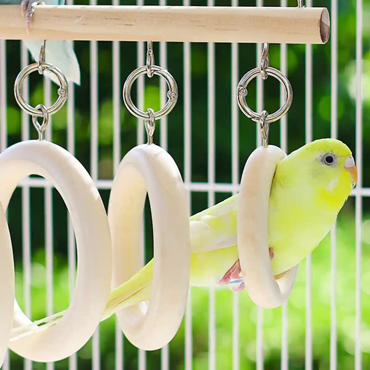 Bird Swing Tunnel Toy Fun & Comfortable Play for Birds