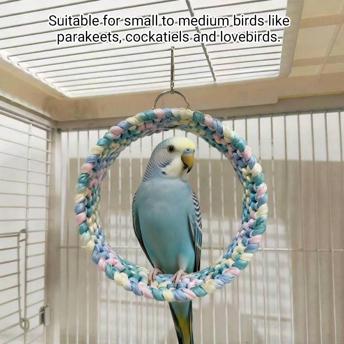 Parrot Hammock Ring Bird Swing Perch