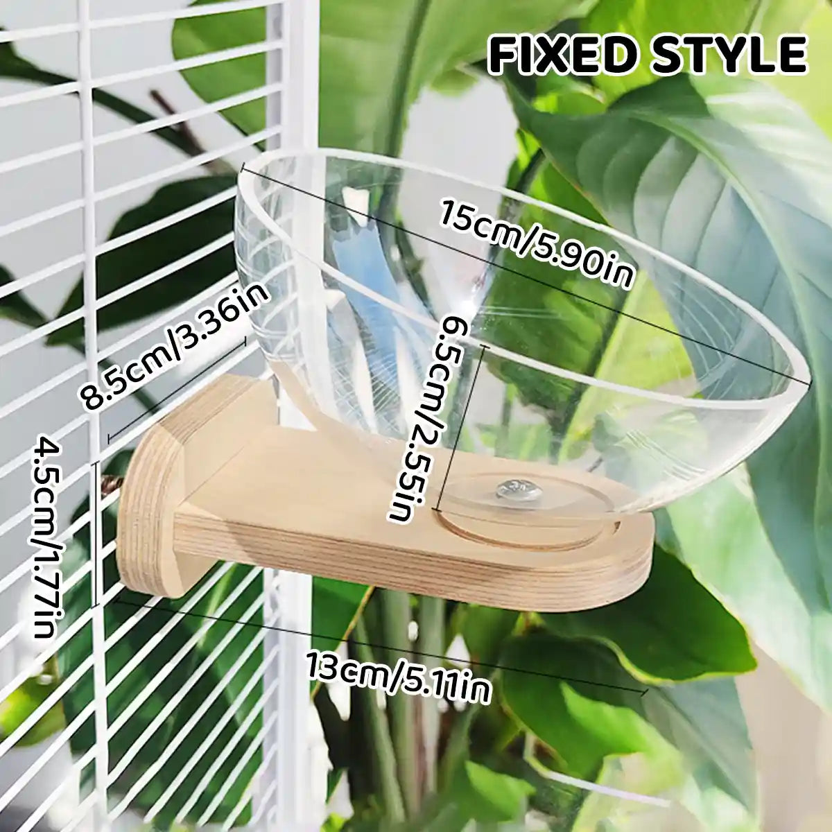 Transparent Bird Nest Capsule Wooden Wall-Mount Design Hummingbird House