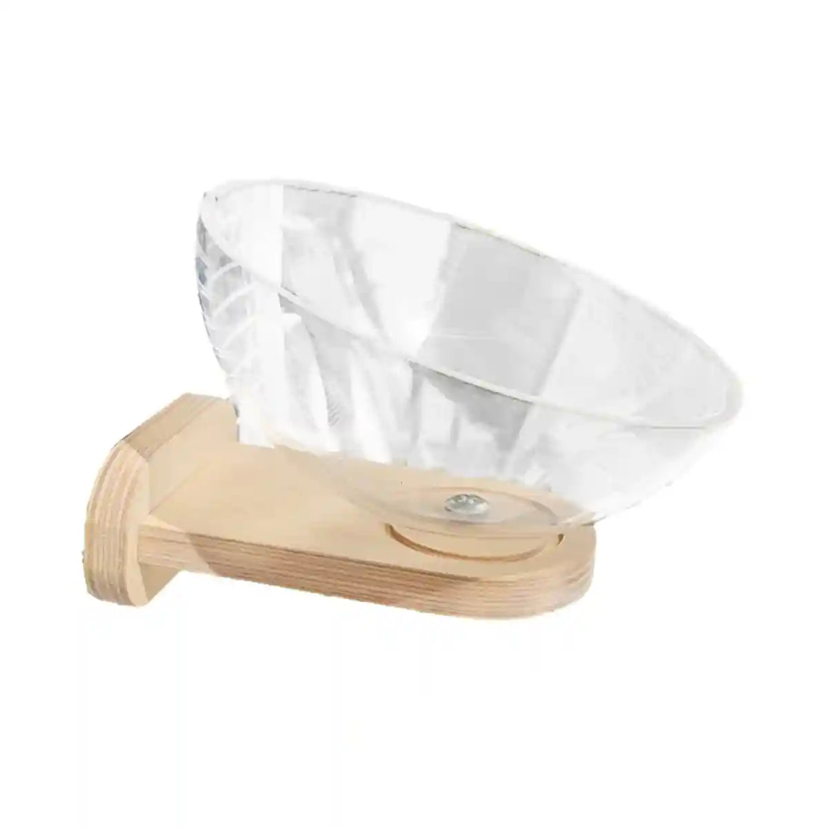 Transparent Bird Nest Capsule Wooden Wall-Mount Design Hummingbird House