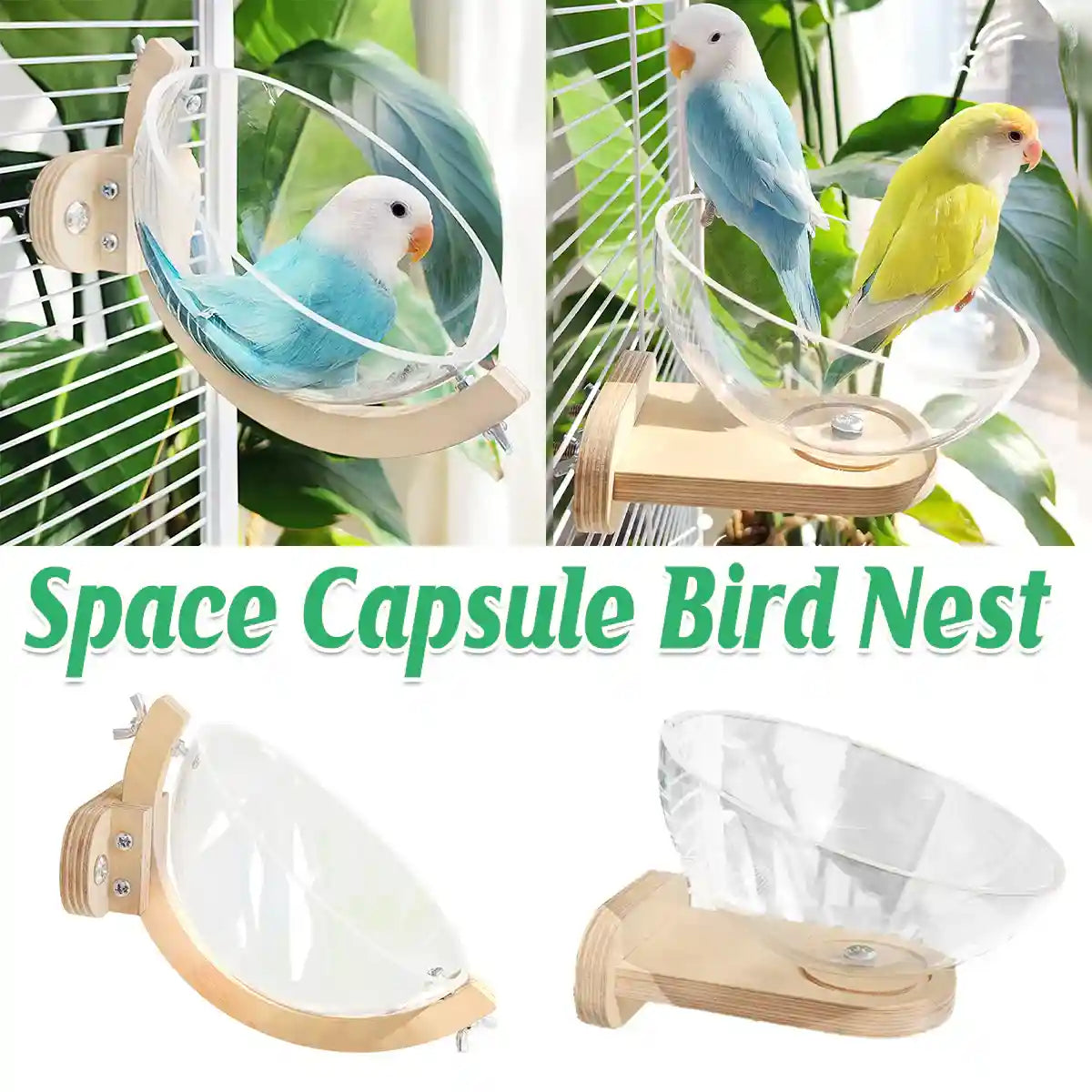Transparent Bird Nest Capsule Wooden Wall-Mount Design Hummingbird House