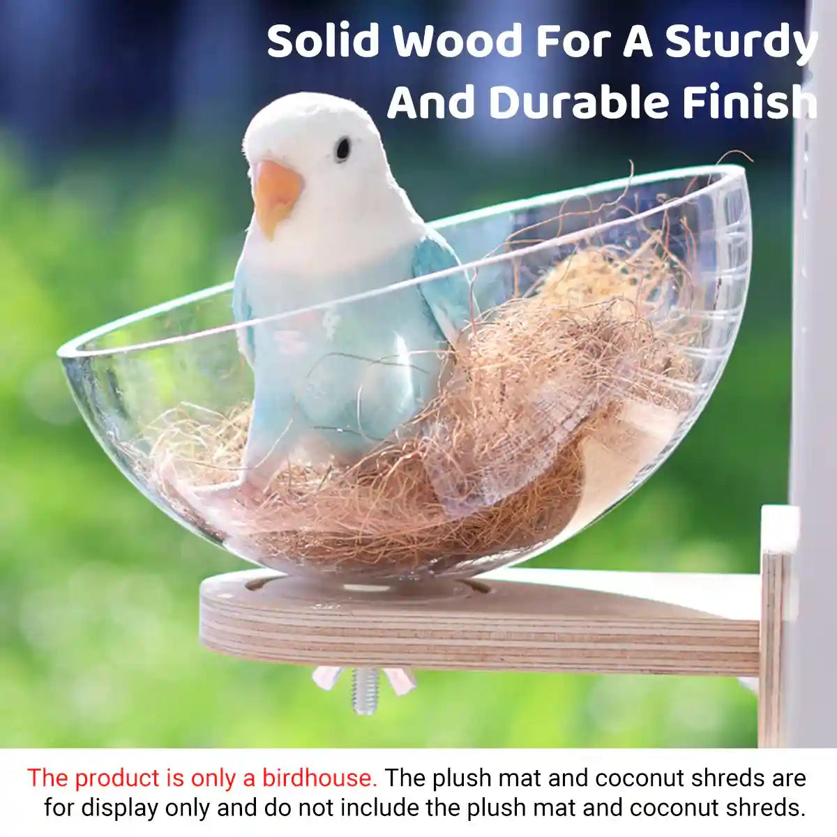 Transparent Bird Nest Capsule Wooden Wall-Mount Design Hummingbird House