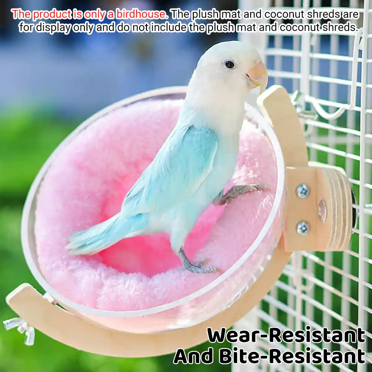 Transparent Bird Nest Capsule Wooden Wall-Mount Design Hummingbird House
